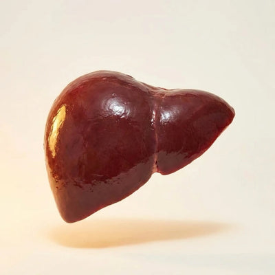 Grass-Fed Beef Liver