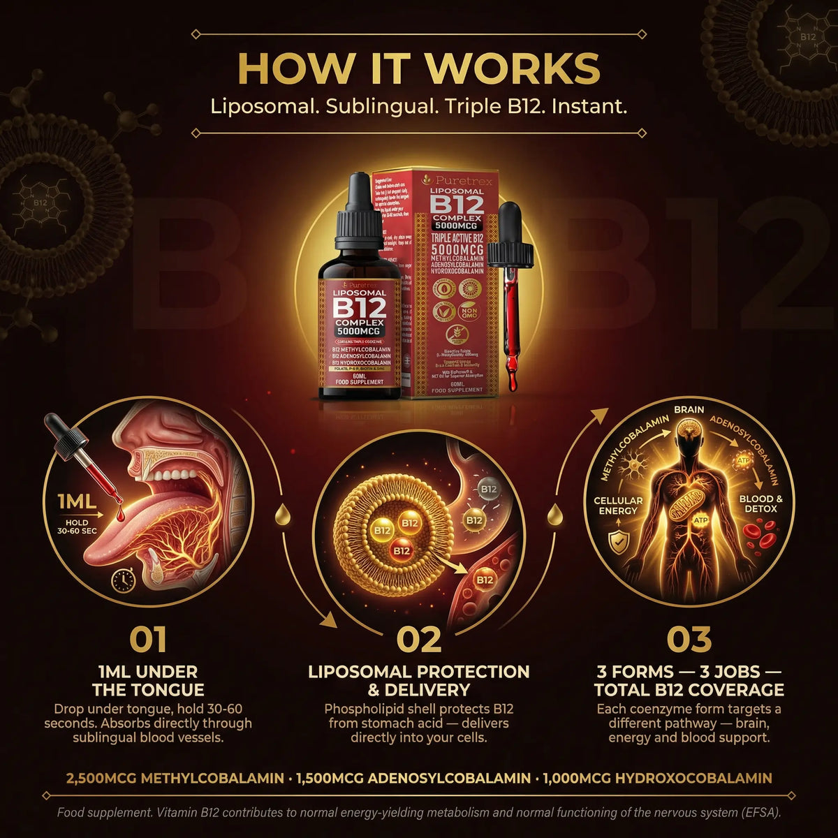 Puretrex Liposomal B12 how it works - sublingual absorption, liposomal delivery, 3 active B12 forms for brain and energy