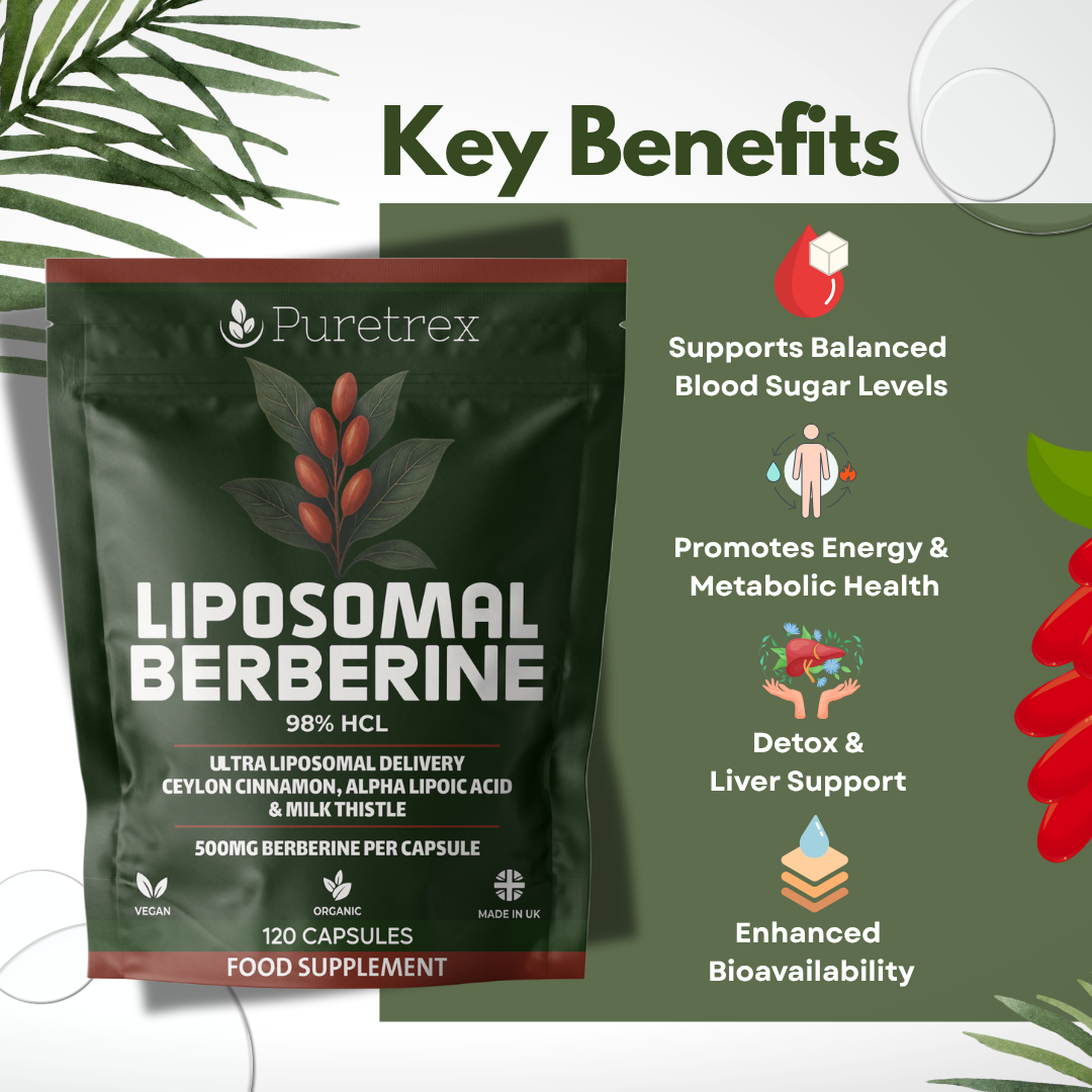 Liposomal Berberine supplement package with icons highlighting key benefits such as blood sugar balance, energy, detox, and bioavailability.