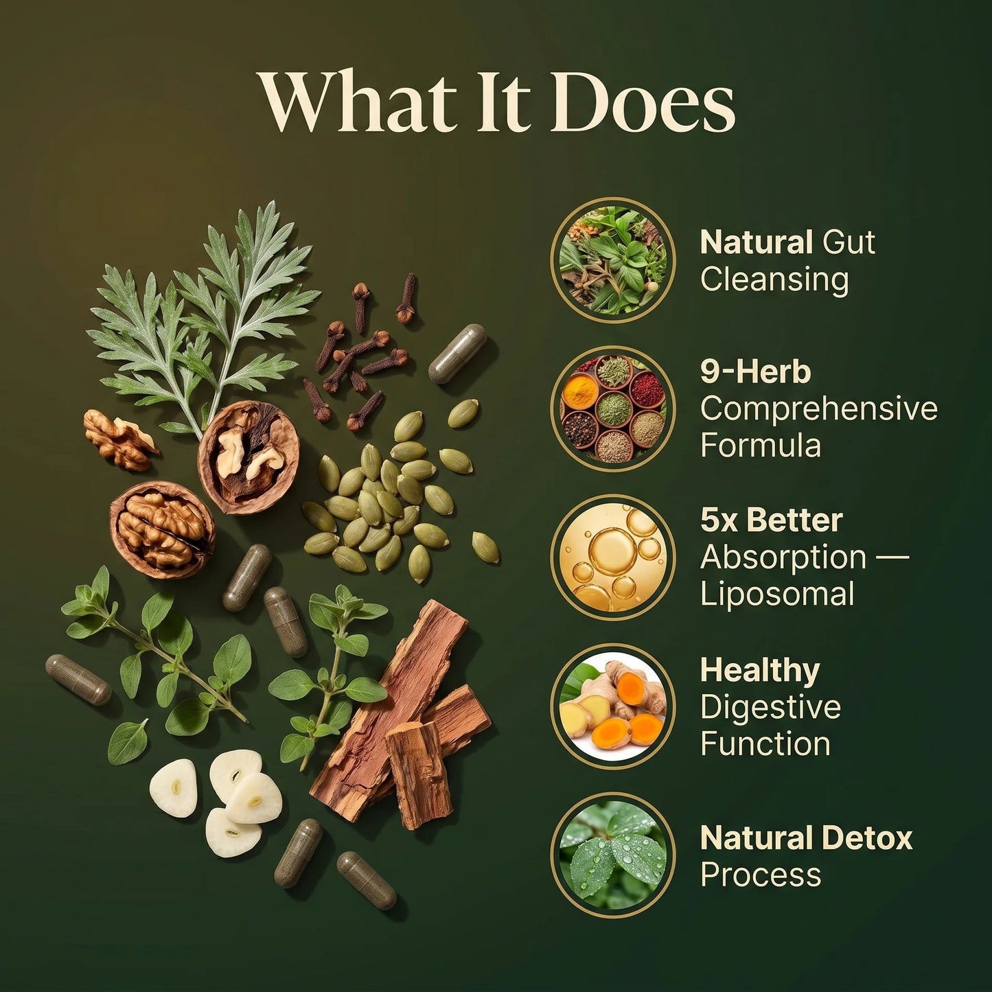 Puretrex Liposomal Herbal Parasite and Gut Detox benefits including natural gut cleansing, 9-herb comprehensive formula, 5x better absorption with liposomal delivery, healthy digestive function, and natural detox process with real botanical ingredients