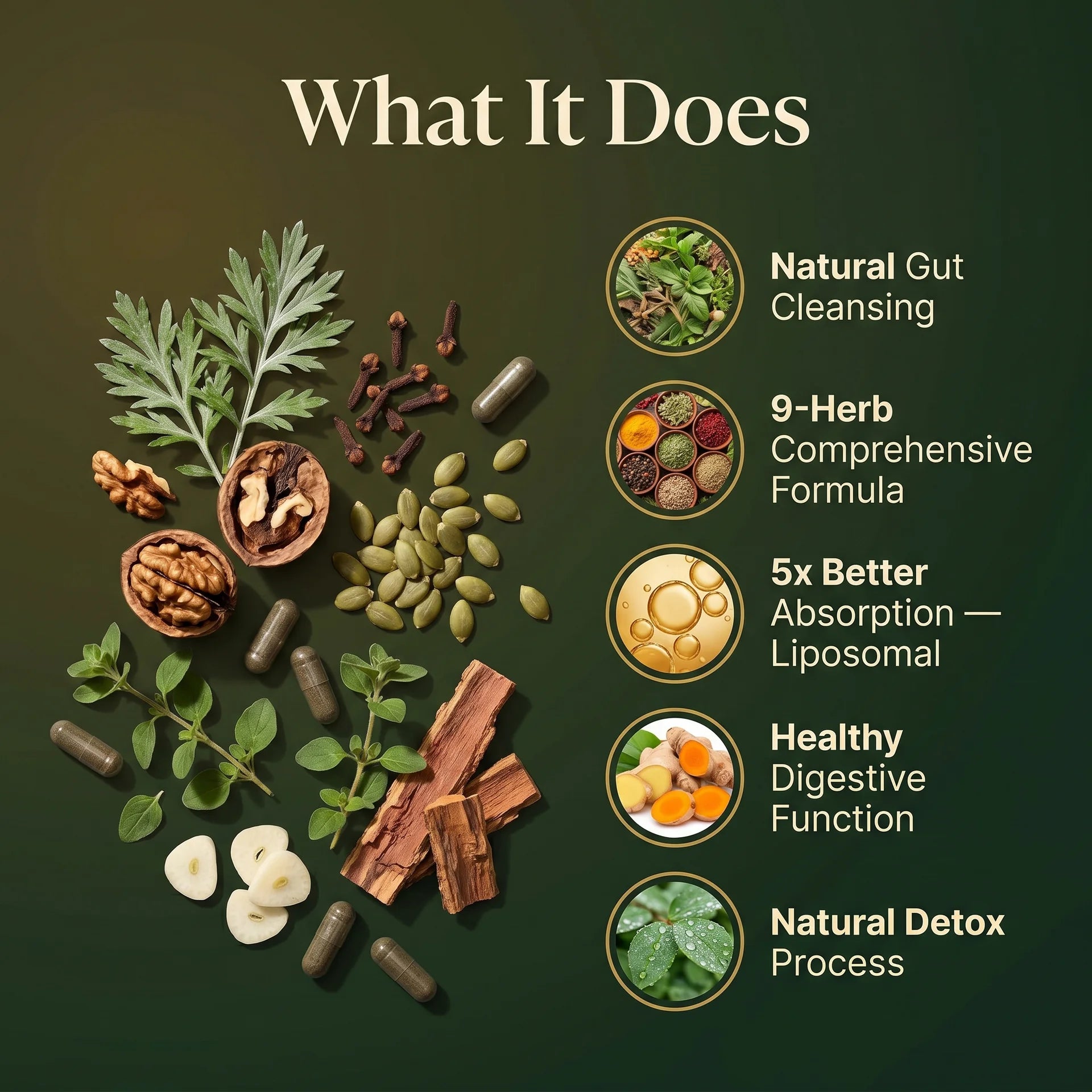 Puretrex Liposomal Herbal Parasite and Gut Detox benefits including natural gut cleansing, 9-herb comprehensive formula, 5x better absorption with liposomal delivery, healthy digestive function, and natural detox process with real botanical ingredients