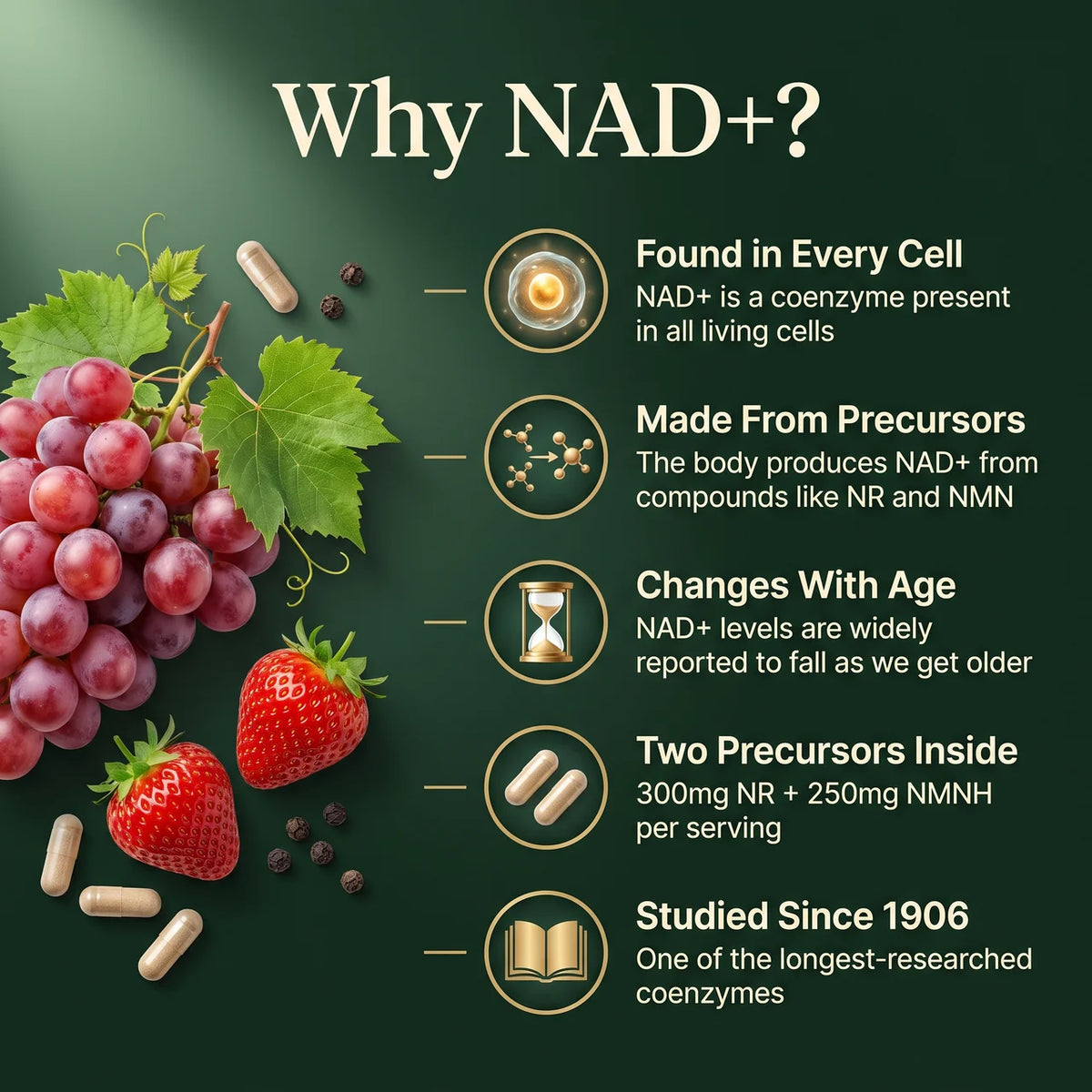 Liposomal NAD+ NR & NMNH