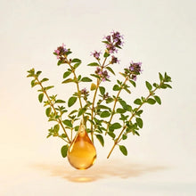 Liposomal Vitamin C
