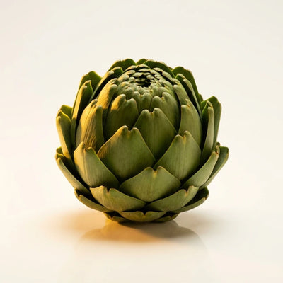 Artichoke Leaf Extract