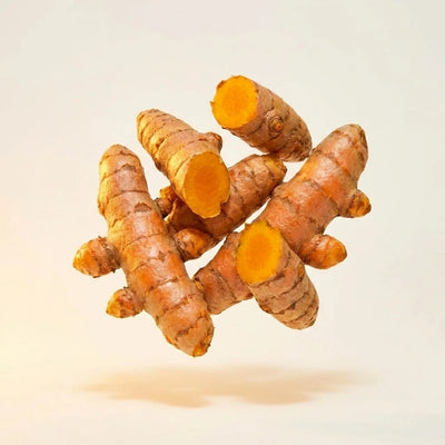 Turmeric Root Extract
