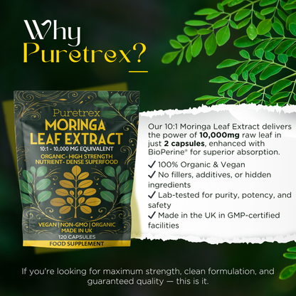 Moringa Leaf Extract package with text highlighting purity, organic certification, and superior absorption.