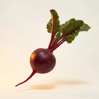 Beetroot Extract