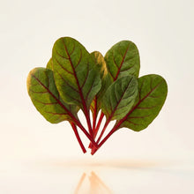 Red Spinach