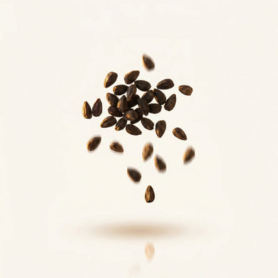 Black Seed Oil