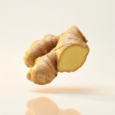 Ginger Root Oil