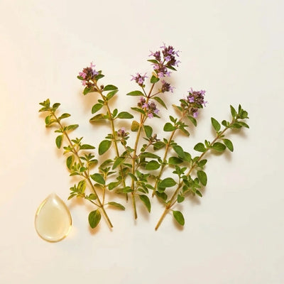 Organic Wild Oregano Oil