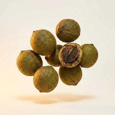 Black Walnut Hull Extract