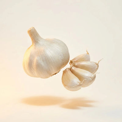 Garlic Extract
