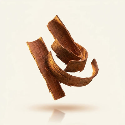Pau d'Arco Bark Extract