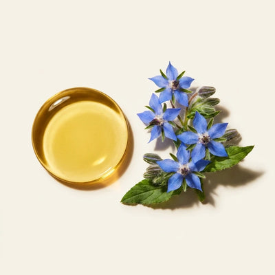 Borage (Starflower) Oil