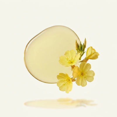 Evening Primrose Oil