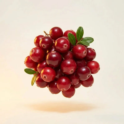Cranberry Extract