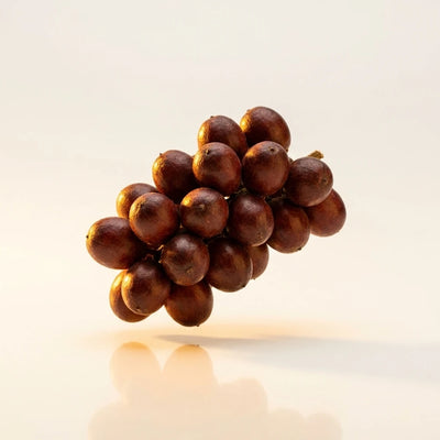 Saw Palmetto Extract