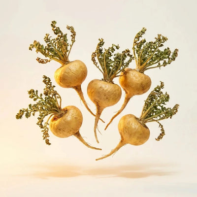 Maca Root
