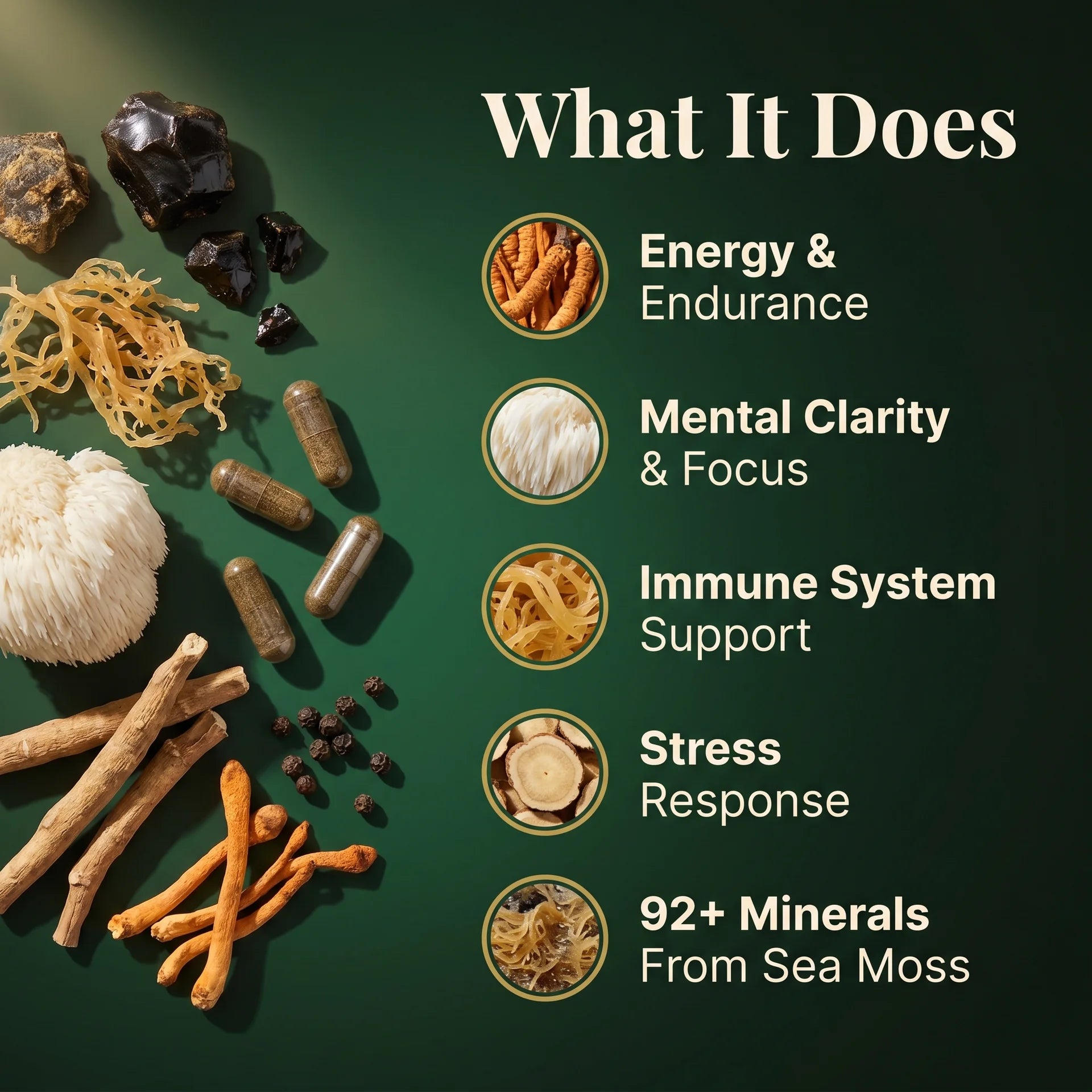 Puretrex Shilajit Sea Moss supplement benefits including energy, mental clarity, immune support, stress response, and 92 plus minerals, shown with raw ingredients on dark green background
