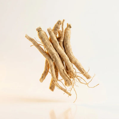 Ashwagandha Root Extract