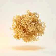 Sea Moss