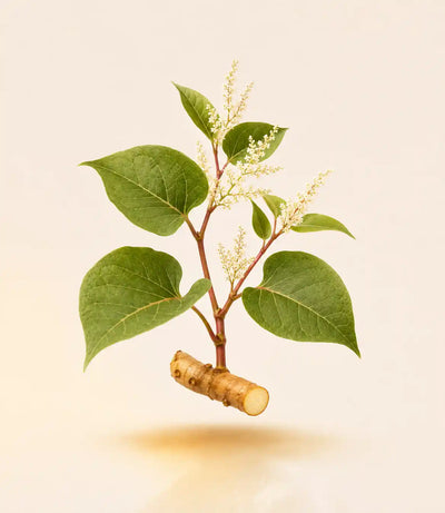 Trans-Resveratrol