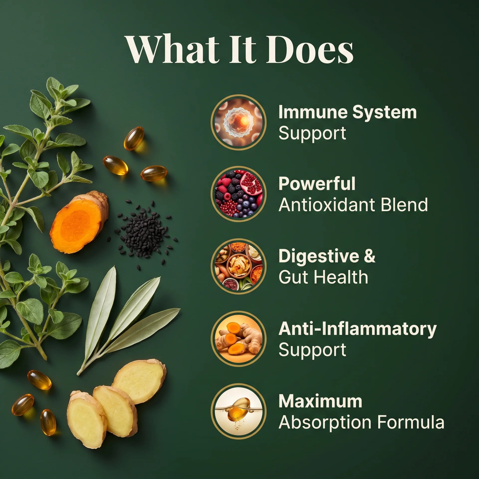 Key features infographic for PURETREX Wild Oil of Oregano with Black Seed Oil showing the formula highlights - 95 percent carvacrol oregano extract, black seed oil rich in thymoquinone, multi-oil herbal blend and BioPerine black pepper extract for absorption, shown with botanical ingredients on a dark green background

