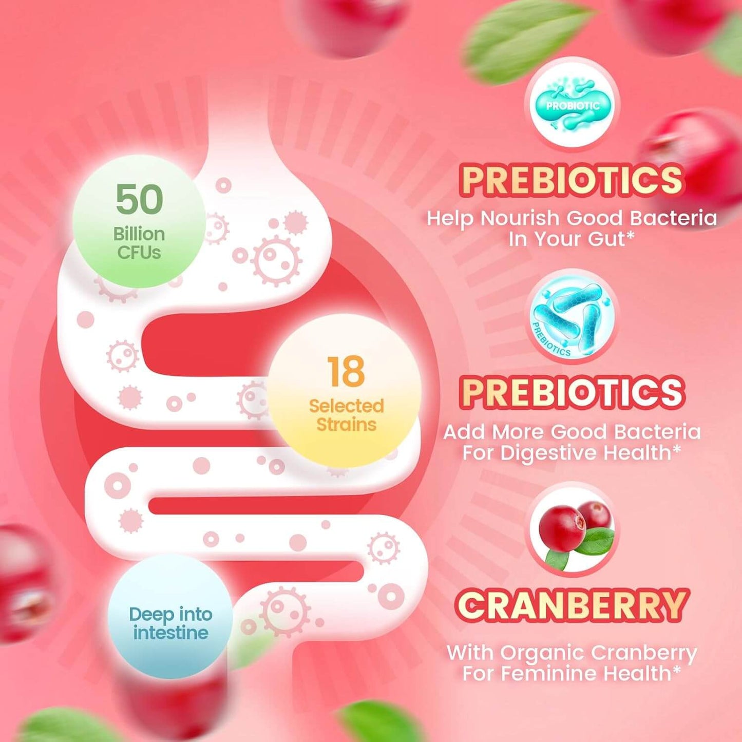 Diagram of women's probiotic gummies with prebiotics, probiotics, cranberry extract, and digestive health benefits.